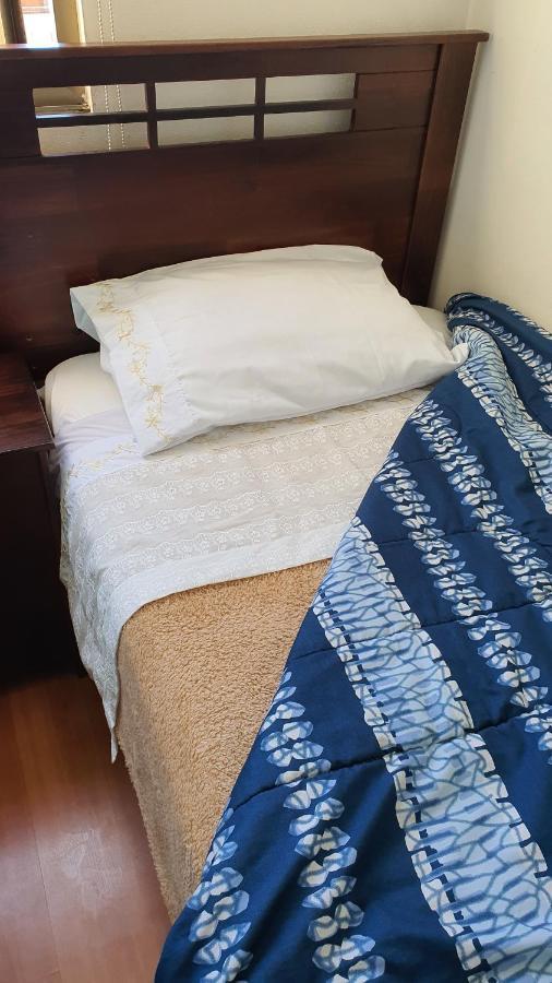 Metro Manuel Montt Apartment Сантяго Екстериор снимка
