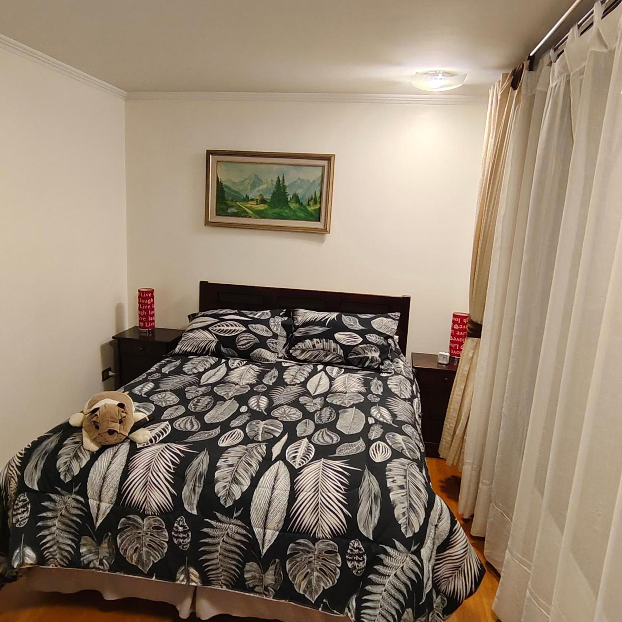 Metro Manuel Montt Apartment Сантяго Екстериор снимка